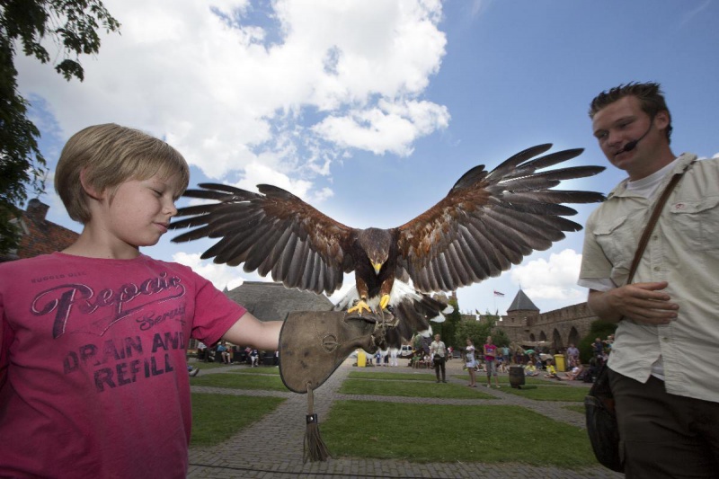 \"Doornenburg, 7-7-2012 . Ridderspektakel,    Middeleeuws spektakel bij kasteel Doornenburg. met konderen en vogels\"