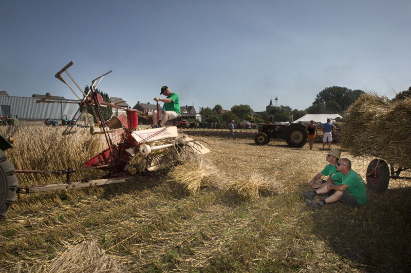 \"Middelaar, 19-8-2012 . boerendag,  demonstraties oogsten met oldtimer landbouwmachines of een andere boerenprent\"