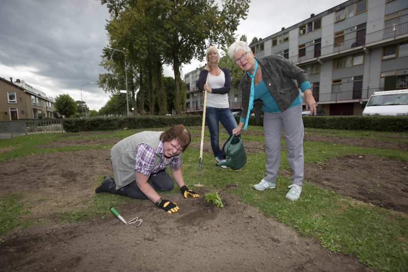 \"Nijmegen, 13-9-2012 . Op de hoek van de 53-ste met de 52ste straat (rondweg aldenhof) heeft 
gemeente lapje grond klaar gemaakt voor bewoners maissonettes om een 
volkstuin te beginnen. Drie mevrouwen\"