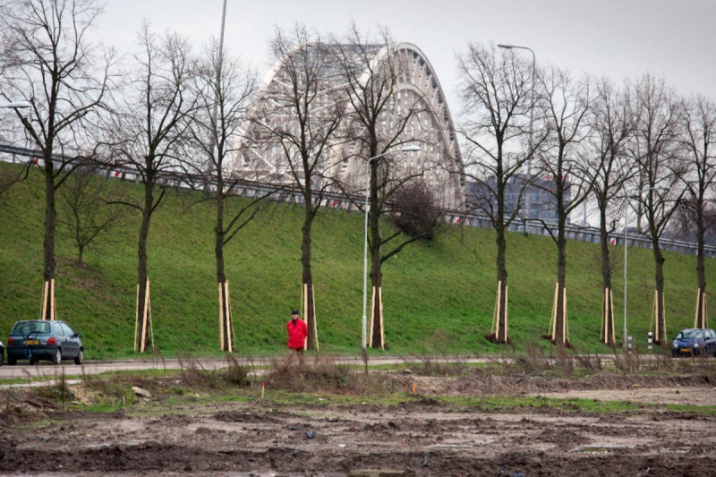 \"Waalsprong, scenes van de Bemmelsedijk en Griftdijk. planken om bomen, cementsilo en kraanwerkzaamheden. Nijmegen, 10-1-2013 . dgfoto.\"