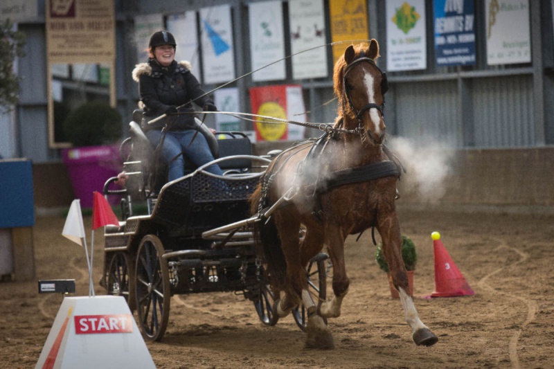 \"Bergharen, Rijhal, Jeugdwedstijd wagenmennen,  3-2-2013 . dgfoto.\"