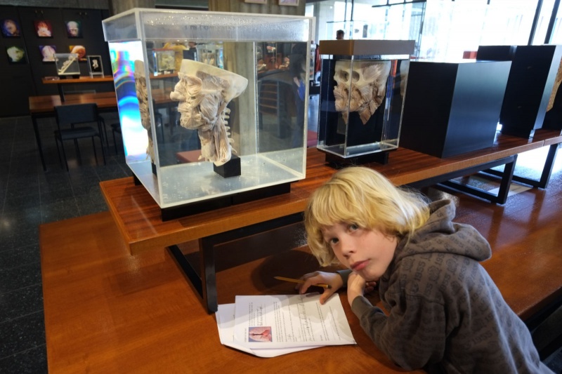 \"Nationaal museumweekeinde,  museum voor anatomie en pathologie. UMC Nijmegen, 6-4-2013 . dgfoto.\"