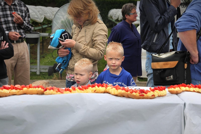 Langste aardbeienboot bij kweker Debeie in Doornenburg, streekgala, 30-6-2013 . dgfoto.