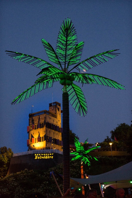 Palmbomen bij Belvedere. Tropische taferelen. Zomerfeesten, Vierdaagsefeesten, Vierdaagse, . Nijmegen, 19-7-2013 . dgfoto.