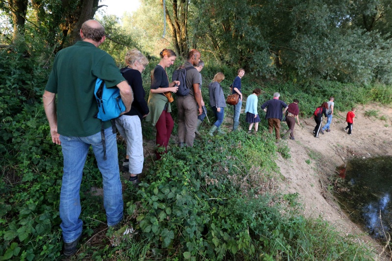 Wandeling met de IVN RijnWaal door de Bemmelerwaard op zoek naar bevers die actief zijn in de uiterwaarden.Bemmel, 6-8-2013 . dgfoto. bever.