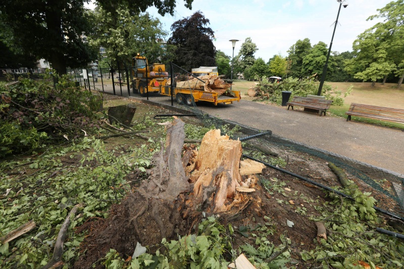 Bij storm omgewaaide boom in Kronenburgpark. Nijmegen, 29-7-2013 . dgfoto.