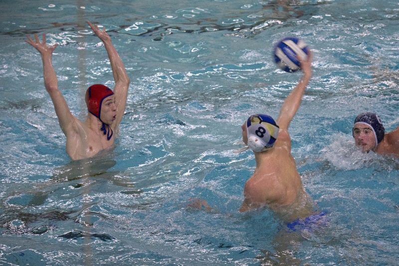 waterpolo: Aqua Novio - ZV Haerlem. Nijmegen, 15-12-2013 . dgfoto.