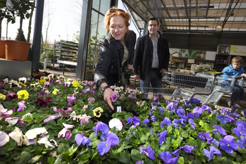 Lente bij de Intratuin Elst, 8-3-2014 . dgfoto.