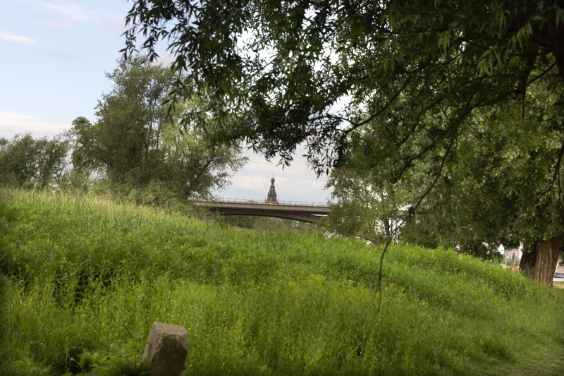 Stadswaard, natuurgebied net voraan in de Ooij . Nijmegen, 20-5-2014 . dgfoto.