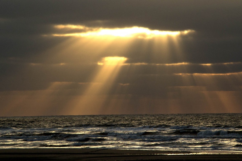 Oerol. Terschelling, 15-6-2014 . dgfoto.