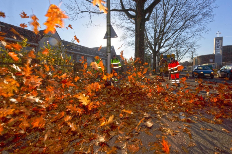 schoonblazen 7 heuvelenloopparcours (met veel blad, mensen van Dar. Nijmegen, 13-11-2014 . dgfoto. Zevenheuvelen