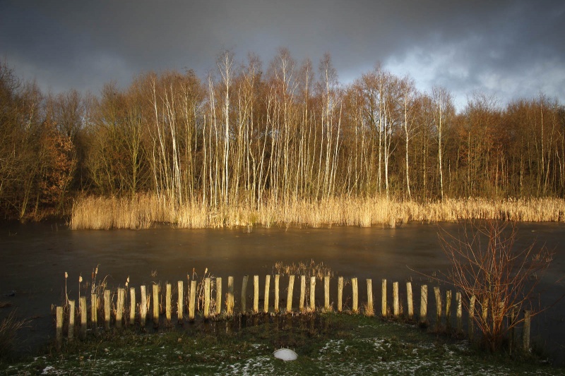 Brunssum, 29-12-2014 met o.a. Peter en Tiny . dgfoto.