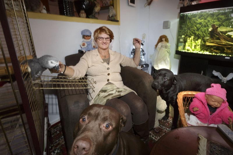 Beeld Binnen Kijken bij.
Mevrouw van Leeuwen
Diepvoorde 2022 Wijchen
voor Talis en Jos van Lavieren
, 11-2-2015 . dgfoto.