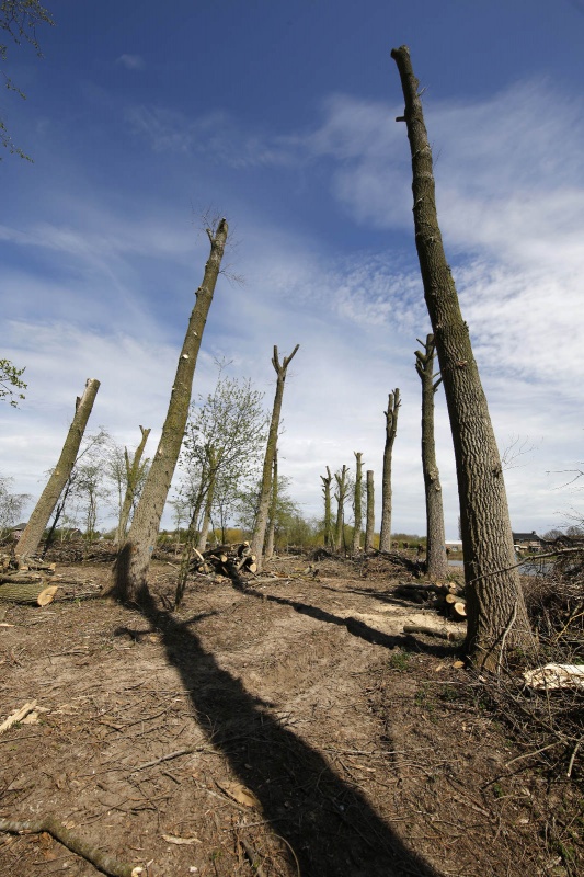 Sprokkelbos achter voormalig pompstation tussen Lent en Bemmel. Wordt kinderspeelbosl Nijmegen, 16-4-2015 . dgfoto.