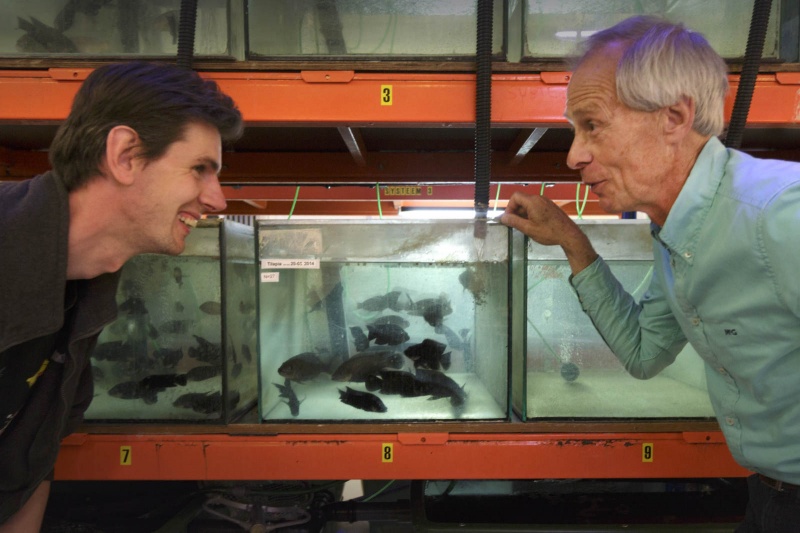 Onderzoeker Wilco Verberk heeft onderzoek gedaan in het vissenlab van de Radboud Universiteit, naar de wijze waarop vissen zaden verspreiden. Nijmegen, 23-4-2015 . dgfoto.