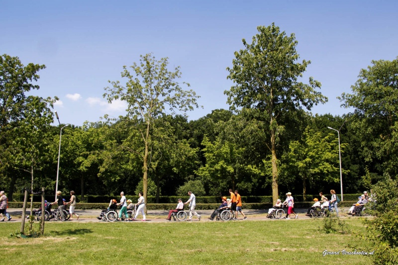 Middag rolstoel vierdaagse voor ouderen. Malvert. Nijmegen, 11-6-2015 . dgfoto.