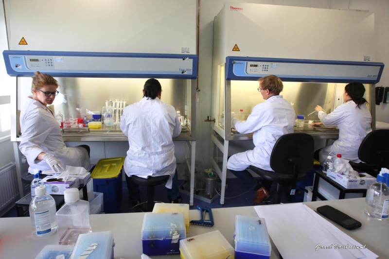 Novio Tceh Campus,  laboratoria/mensen aan het werk in laboratorium/witte jassen.
. Nijmegen, 12-10-2015 . dgfoto.