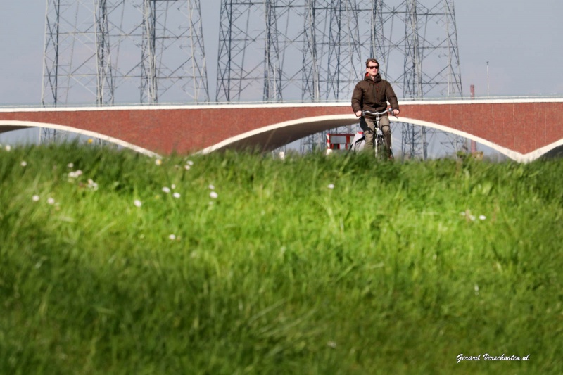 Verlegde Oosterhoutsedijk met uitzichten, centrale, Honig. Nijmegen, 18-4-2016 .