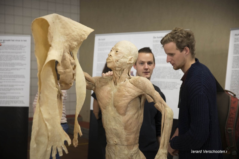 Real Human bodies, expo in Bouillon (zaal) Honigfabriek. Nijmegen, 19-10-2017 .