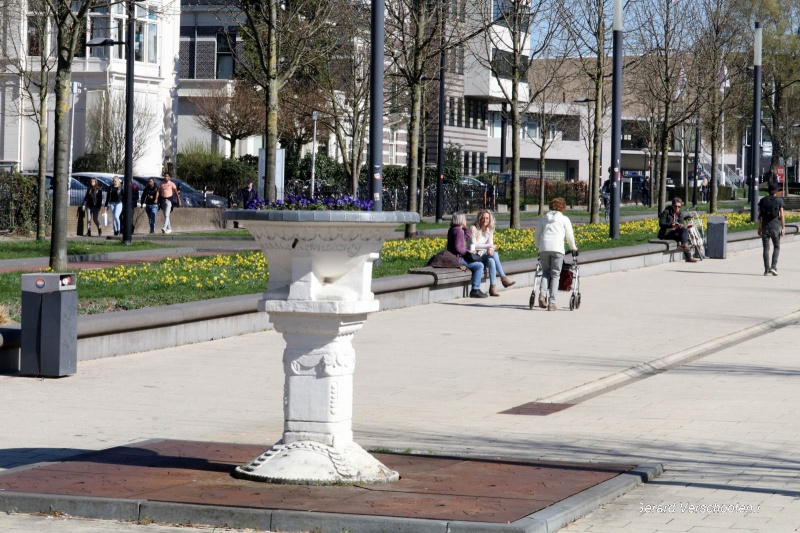 Olifantenpaadjes, Schayck Mathonsingel. Nijmegen, 27-3-2017 .