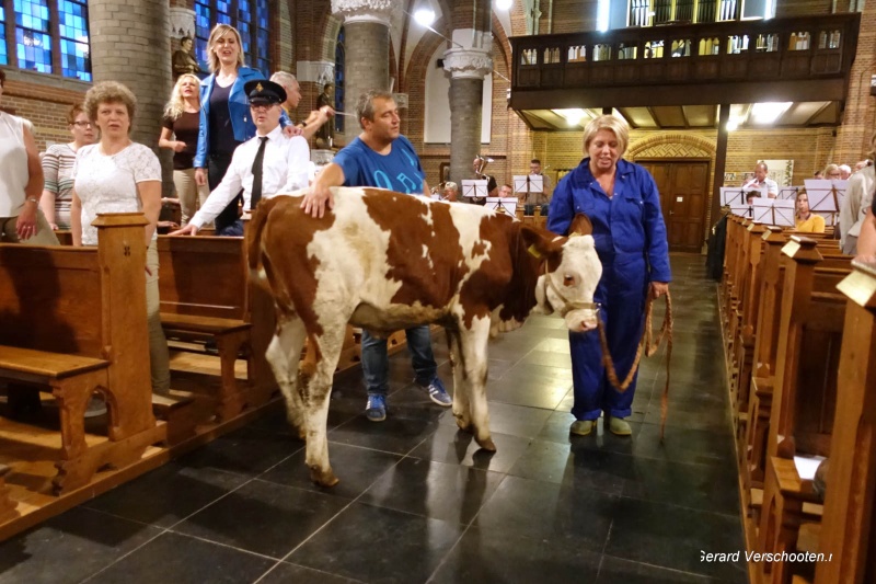 Verhalen van de ooij, locatietheater van de Plaats met koe in kerk en Wies en Maij en . Nijmegen, 29-6-2017 .