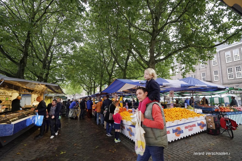 Markt op Wedren
sfeervolle 'franse' markt onder de bomen.
. Nijmegen, 30-9-2017 .