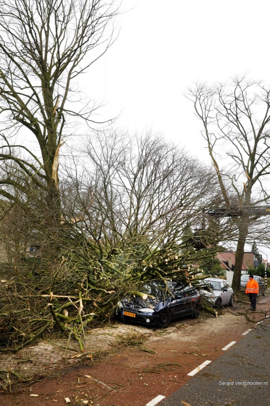 Stormschade,boom op auto, Berg en Dalseweg tegenover Tante Koosje... Nijmegen, 18-1-2018 .