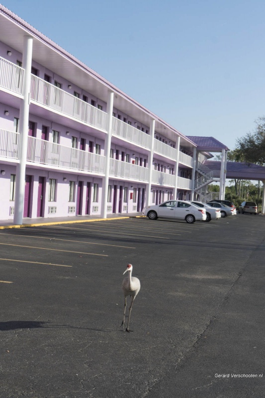 Florida, Keys, Miami, Hens Bon, maart 2018 Cape Kennedy