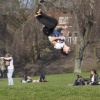 \"Nijmegen, 15-3-2012 . Kronenburgpark, lente - mooi weer - vreugdesprongen\"