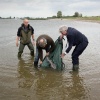 \"Kekerdom, 10-5-2012 . Wouter Hamel en Jan Ter;ouw zetten bij Kekerdom de eerste steur uit.\"