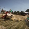 \"Middelaar, 19-8-2012 . boerendag,  demonstraties oogsten met oldtimer landbouwmachines of een andere boerenprent\"