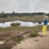 \"Overasselt, 3-9-2012 . Bomenkap Vennen. Staatsbosbeheer  rondleiding door de Hatertse en Overasseltse vennen.\"