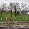 \"Waalsprong, scenes van de Bemmelsedijk en Griftdijk. planken om bomen, cementsilo en kraanwerkzaamheden. Nijmegen, 10-1-2013 . dgfoto.\"