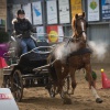 \"Bergharen, Rijhal, Jeugdwedstijd wagenmennen,  3-2-2013 . dgfoto.\"