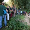 Wandeling met de IVN RijnWaal door de Bemmelerwaard op zoek naar bevers die actief zijn in de uiterwaarden.Bemmel, 6-8-2013 . dgfoto. bever.