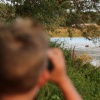 Wandeling met de IVN RijnWaal door de Bemmelerwaard op zoek naar bevers die actief zijn in de uiterwaarden.Bemmel, 6-8-2013 . dgfoto. bever.