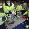 Kanaalstraat, DAR-terrein
Studenten onderzoeken afvalzakken
. Nijmegen, 12-2-2015 . dgfoto.