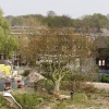 Omzagen boom op Margriet terrein. met politie en Floris. Nijmegen, 24-4-2015 . dgfoto.