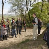 Bij het Kops Plateau in Nijmegen vindt de Kopse Lente Tour plaats, waarbij onder andere verteld wordt over de Romeinse geschiedenis en vondsten daar. Nijmegen, 3-5-2015 . dgfoto.