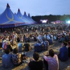 Down the Rabbit hole, Beuningen met o.a Patti Smith, 27-6-2015 . dgfoto.