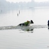 Op het strand Maaslanden (Gouden Ham) wordt het einde van het zwemseizoen gevierd met een Dog's Fair. Appeltern, 4-10-2015 . dgfoto.