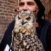 Op kasteel Hernen vindt de derde editie van de Middeleeuwse markt plaats.Hele familie van Limburg gebroeders kwam op bezoek met vogels ed., 1-10-2017 .