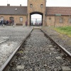 18-22-09-2017 . Krakau, Auschwitz, mijn Wies Wim