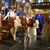 Verhalen van de ooij, locatietheater van de Plaats met koe in kerk en Wies en Maij en . Nijmegen, 29-6-2017 .