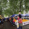 Markt op Wedren
sfeervolle 'franse' markt onder de bomen.
. Nijmegen, 30-9-2017 .