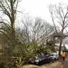 Stormschade,boom op auto, Berg en Dalseweg tegenover Tante Koosje... Nijmegen, 18-1-2018 .