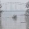 Hoogwater. Nijmegen, 13-5-2018 .