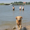 \"vrije foto van het mooie weer, Waalstrandje
29-07-2004\"