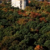 \"Vanuit Erasmusgebouw op de campus
foto: Gerard Verschooten ? FC\"