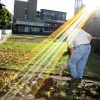 \"Plein 44, gras wordt verwijderd\"